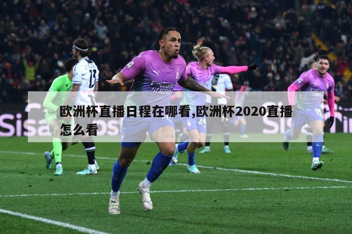 欧洲杯直播日程在哪看,欧洲杯2020直播怎么看