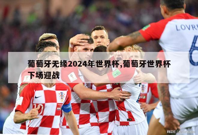 葡萄牙无缘2024年世界杯,葡萄牙世界杯下场迎战