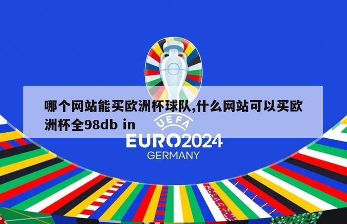 哪个网站能买欧洲杯球队,什么网站可以买欧洲杯全98db in