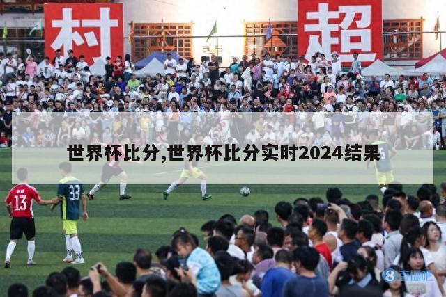 世界杯比分,世界杯比分实时2024结果